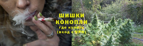 спиды Бородино