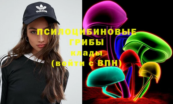 спиды Бородино