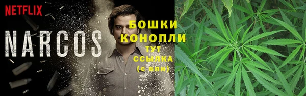 спиды Бородино