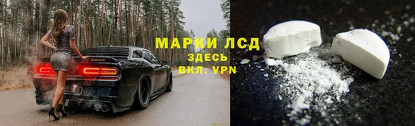 спиды Бородино