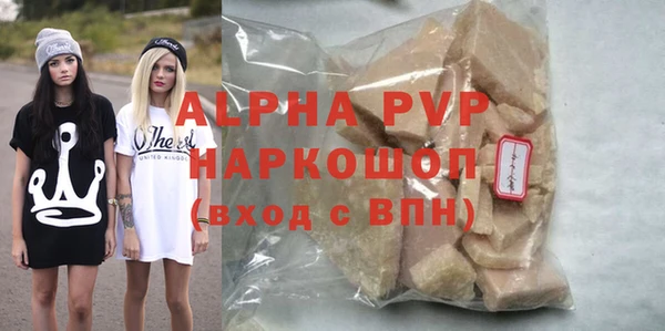 спиды Бородино