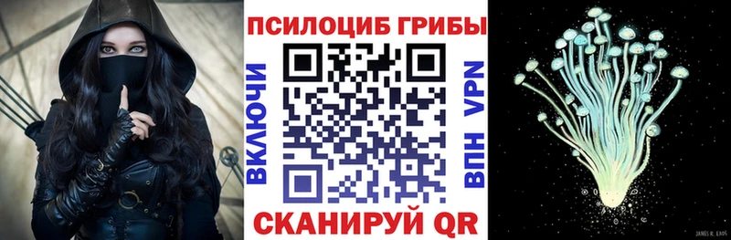 купить наркотики сайты  Балашиха  Псилоцибиновые грибы прущие грибы 
